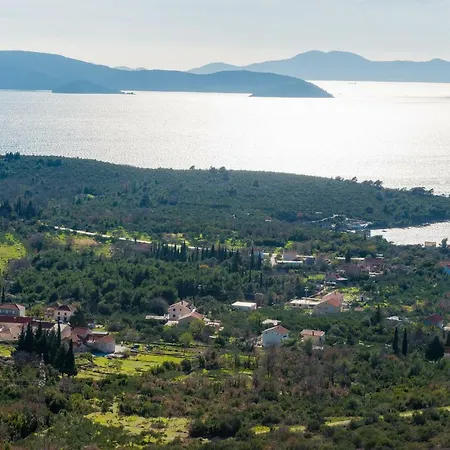 Summer Life Appartement